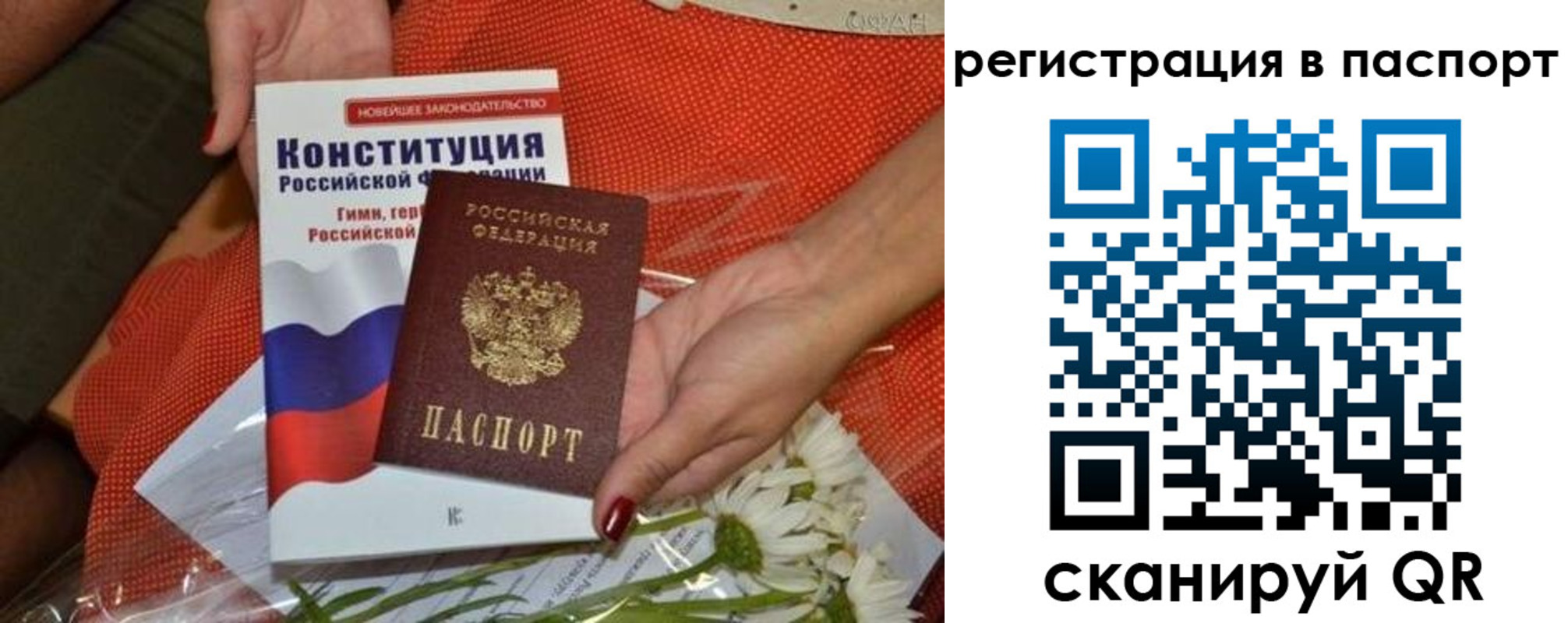 временная регистрация поиск в Кургане